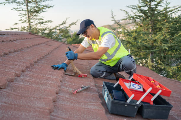 Best Roof Leak Repair  in Hanamaulu, HI