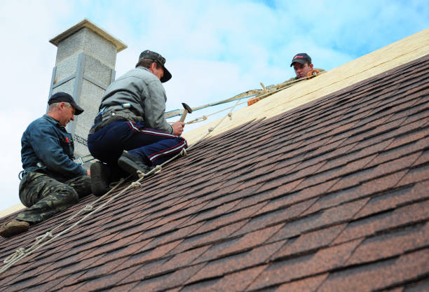 Best Shingle Roofing Installation  in Hanamaulu, HI